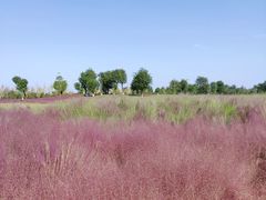 -汉长安城未央宫国家考古遗址公园