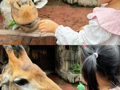 -长鹿旅游休博园