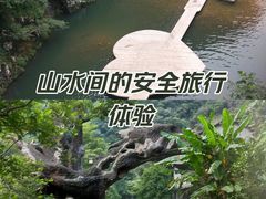-龙湾潭国家森林公园