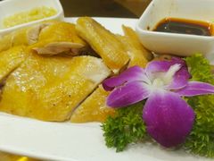 白斩土鸡-客乡情(南京东路店)