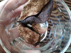 -悸动(山东烟台万达广场店)