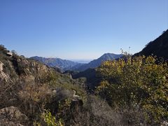 -大岭沟猕猴桃谷风景区