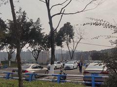 -大渡口区义渡公园