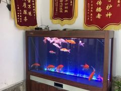 -绿野餐厅(上海动物园店)
