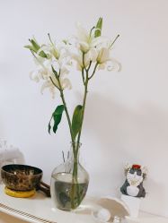 -美肤盾祛痘·问题肌头疗管理中心