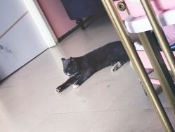 -Pink You美甲美睫纹绣定制中心