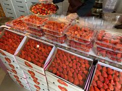-鲜力达果品批发直销(青山店)