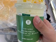 -茉酸奶(高科山姆店)