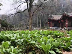 -杭州西湖风景名胜区-三生石
