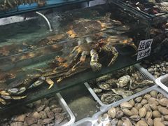 -京港生鲜(四道口店)