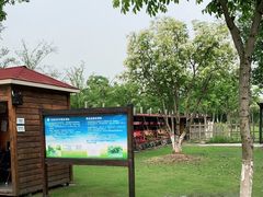 -上海长兴岛郊野公园