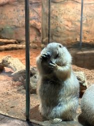 -Zoolung Zoolung动物主题公园(海信广场店)