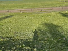 -新疆那拉提国家旅游度假区