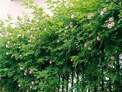 -南通奥特莱斯购物广场