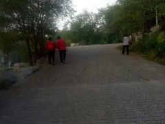 -原山国家森林公园