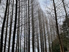 -南昌青山湖风景区