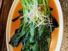白灼菜心-渔民船说·北塘海鲜·天津菜·海肠捞饭(北塘古镇店)