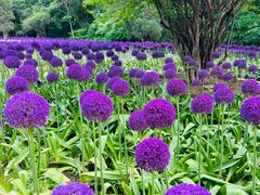 -沈阳植物园