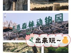 -大连森林动物园