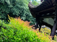 -杭州黄龙洞