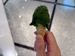 -鹤茶野所(上海首店)
