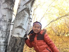 -乌兰布统草原