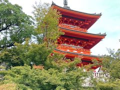 -有栖山 清光院 清水寺