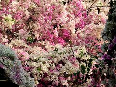 -深圳国际园林花卉博览园