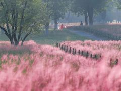 -汉长安城未央宫国家考古遗址公园