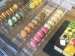 -倾城密码(大唐店)