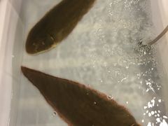 -浪琴湾尾角仔海鲜坊