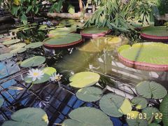 -国家植物园南园