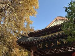 -郑和公园