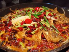 -老板恋上鱼(高新万达店)