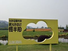 -径山花海