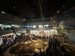 -自贡恐龙博物馆