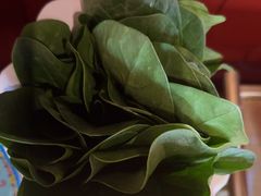 -南门四季铜锅涮肉(大屯·北苑店)