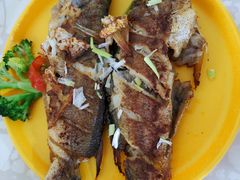 -爱月宝月嫂·育儿嫂(哈尔滨总店)