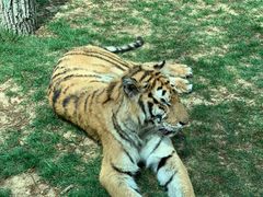 -北京野生动物园