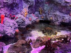 -沈阳海洋探索中心