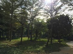 -天河儿童公园