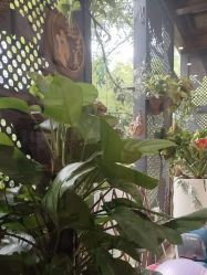 -金芙美月子中心(财富别墅店)