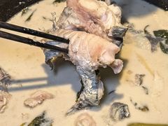 -鲜潭蒸汽石锅鱼(五道口购物中心店)