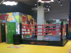 -大焱搏击·泰拳·拳击俱乐部(大柏树店)