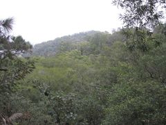 -野狸岛