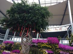 -南通洲际绿博园