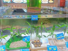 -宝轩渔府·老字号海鲜·正宗津菜(水上店)