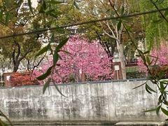-上海市曹杨第二中学