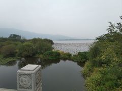 -西昌邛海湿地