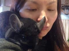 -藦茜花园宠物主题亲子互动体验馆(国顺东路店)